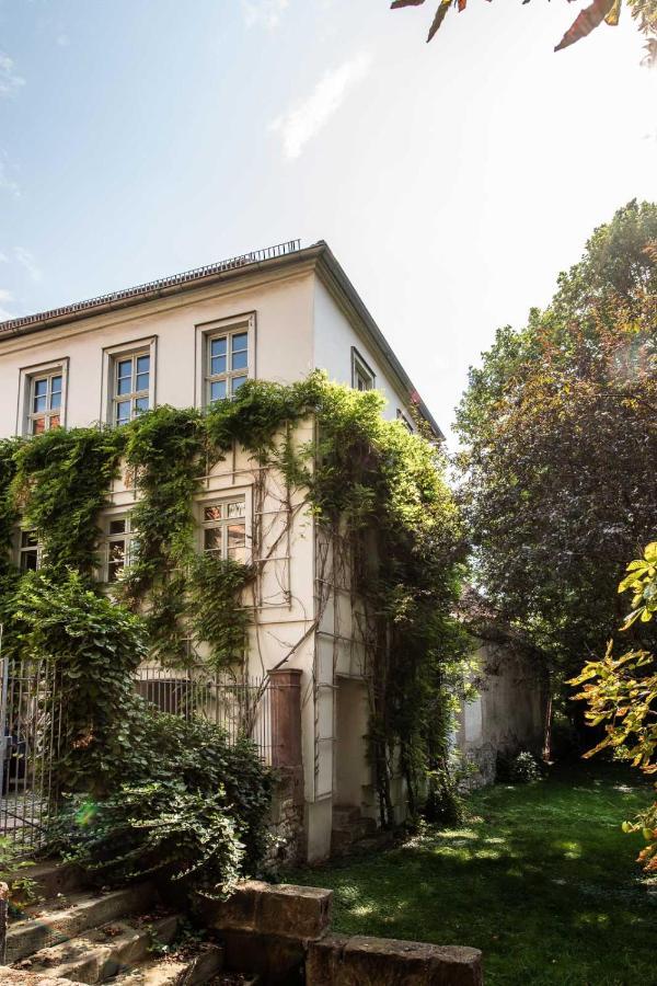 Ferienwohnung Am Dom II ناومبورغ المظهر الخارجي الصورة