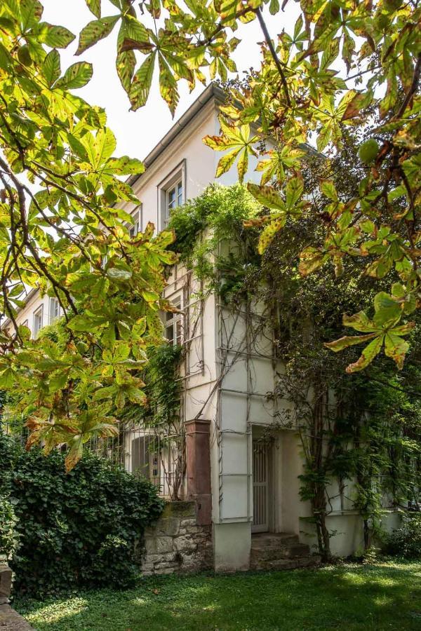 Ferienwohnung Am Dom II ناومبورغ المظهر الخارجي الصورة